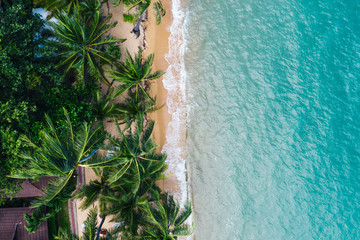 Aerial scenery of picturesque coastline with turquoise water waves and green tropical palm. Bird's eye view of paradise beach shoreline of Hawaii, beautiful tourist destination for summer vacations