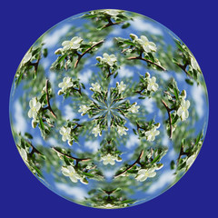 A garden planet, with blossoming Apple trees against the blue sky.