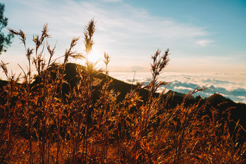Superbe lever de soleil au d'une montagne au-dessus des nuages