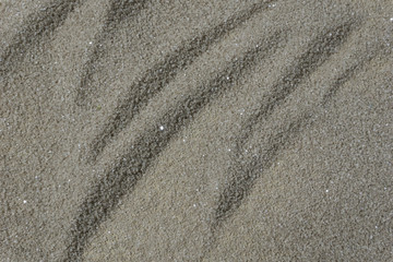 sand background 