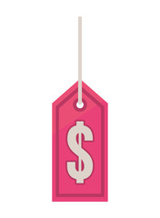 Obraz na płótnie Canvas commercial tag hanging with money symbol