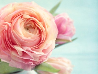 Delicate flowers group bright cerise pink