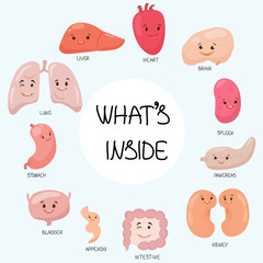 Set of cute, cartoony human organs