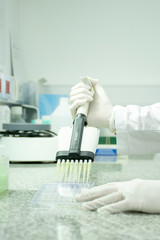 Laboratorio