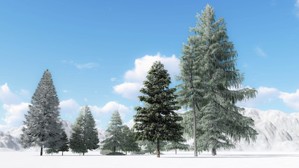 Fototapeta premium Tree in Snow Weather, Winter Background, 3D Rendering