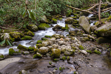 Naklejka na ściany i meble Smoky Mountain Forest. Stream flows through a lush forest in the Great Smoky Mountains National Park in Gatlinburg, Tennessee.