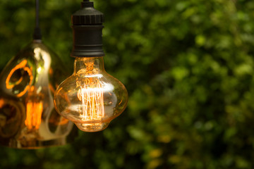 Yellow light vintage sphere lamp hanging with background of green wall leafs. Decor of bulb light with green leaf in luxury vintage style room. Technology versus environment concept.