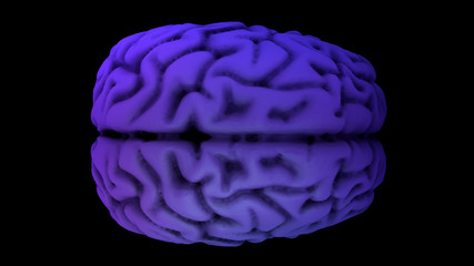 brain in the color purple