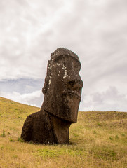 cabeza de piedra