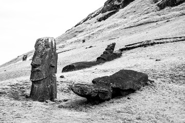 Rapa Nui Rano Raraku
