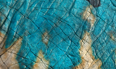 Abstract detail of dinosaur-shaped skin background .