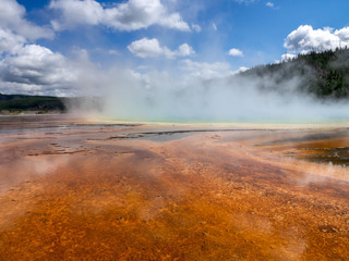 geysers letting off steam in the national park