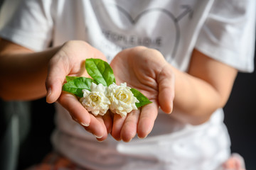 Two jasmine flowers placed on a woman's hand Concept of giving jasmine to Mother's Day in Thailand on August 12 of every year.