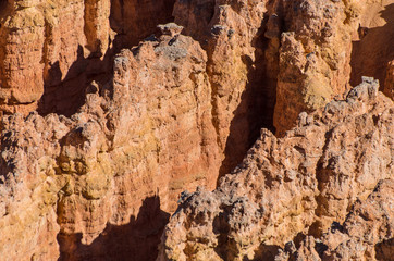 Bryce canyon