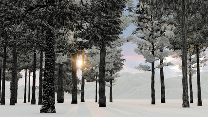 Trees at Winter With Sunset 3D Rendering