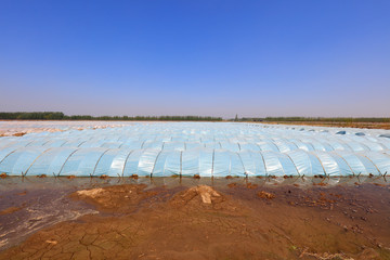Plastic arch shed in the field