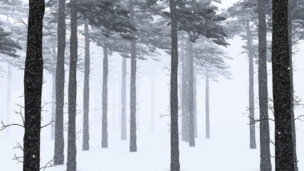 Tree in Winter Fog Weather, Background, 3D Rendering