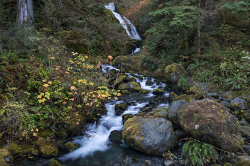 Bunch Falls in Olympic National Park, Washington