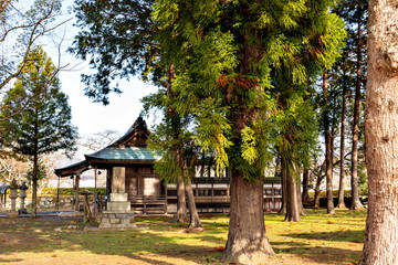 Fototapeta na wymiar Aoyama shrine located in Sasayama castle in Hyogo prefecture, Japan