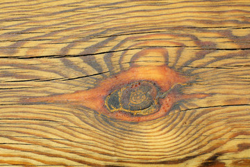 Close-up of Wood Texture