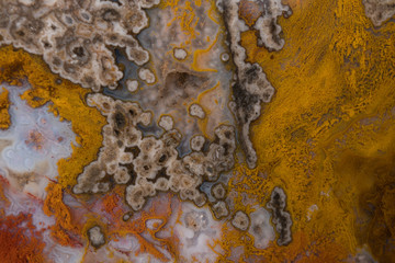 Variable colored Agate. © Michael