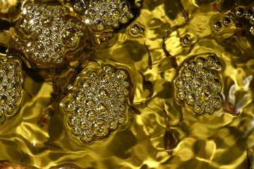 Bubbles and golden water in the aquarium