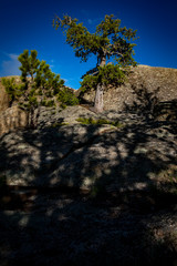 The rock formations of Vedauwoo in the Medicine Bow National Forest near Laramie, Wyoming