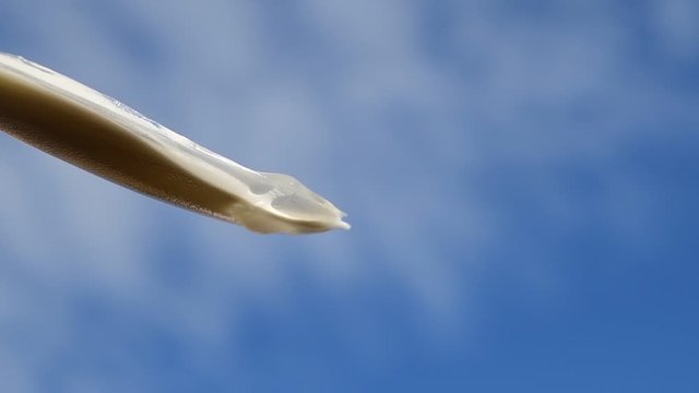 コウイカの甲、青空、光、水、雫、素材、スローモーショ