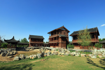 Botanical Garden View