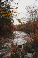 New Hampshire Fall