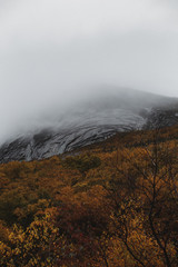 Foggy Mountain