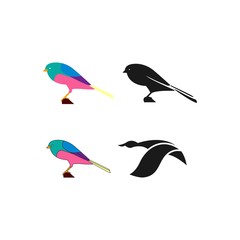 Fototapeta premium Humming Bird Colorful Designs Concept illustration Vector Template