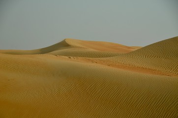 Desiertro