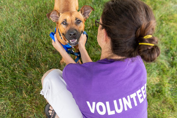 An animal rescue volunteer petting a happy dog