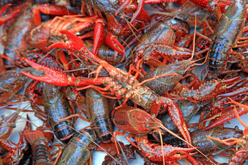 Fresh crayfish on the market