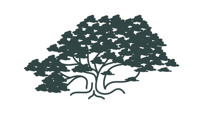 Lonely green oak tree in the field