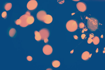 Classic blue background with soft pastel bokeh lights. Holiday, Christmas and New Year background. Horizontal