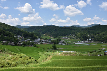 能勢の棚田