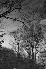 reflektions on the mountain