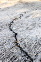 gray concrete wall texture with crack. white or grey stucco cement old texture rough and brown and gray stain dirty. stone grunge design background