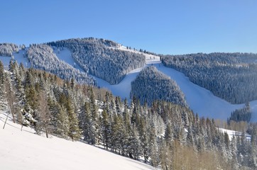 Paisaje nevado en Colorado