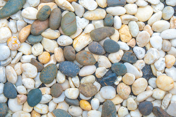 Colorful small pebbles or stone in garden with difference color.