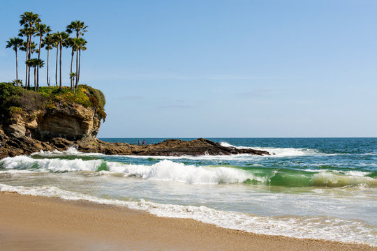 Waves roll gently onto the beach at Crescent Bay Beach with cliffs, palm trees and yellow wildflowers in the background in famed Laguna Beach, California, USA. - Powered by Adobe