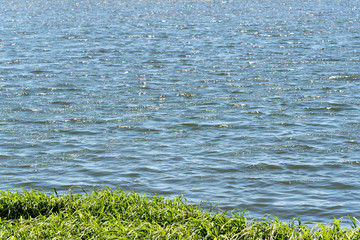  Cityscape in the city of Osorio brazil