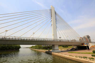 Cable-stayed bridge across the river