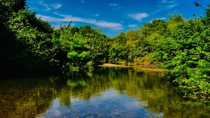 Fototapeta premium lake in forest