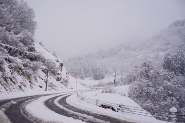 水墨画のような雪国の道路