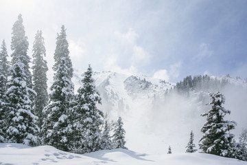 Allphotokz Tuyuk-Su 20060410 9155 5D