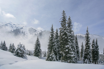 Allphotokz Tuyuk-Su 20060410 9159 5D