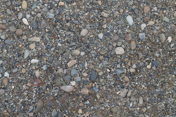 Closeup of loose rocks and dry leaves image for background use with copy space